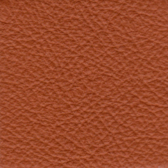 standard-leather-007.jpg